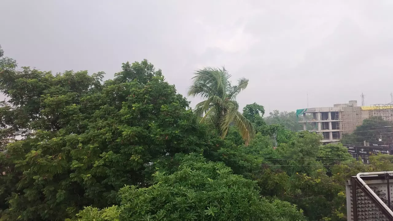 Raipur Rain: रायपुर में बारिश शुरू, बस्तर और बिलासपुर में भी बरस रहे बादल