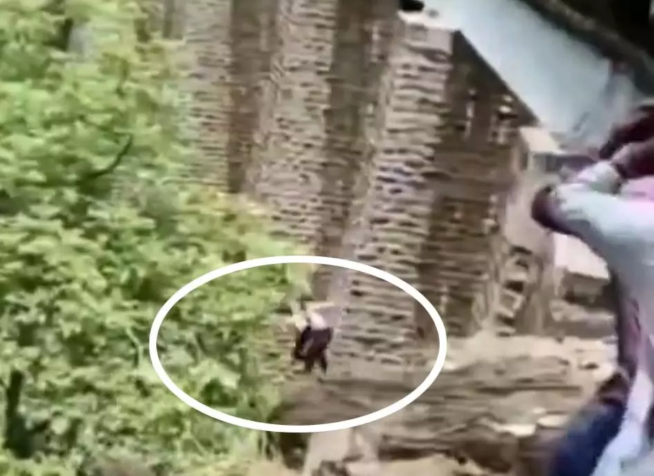 LIVE VIDEO: फोटोशूट के दौरान आ गई ट्रेन, रेलवे पुल से पति-पत्नी घबराकर कूद गए