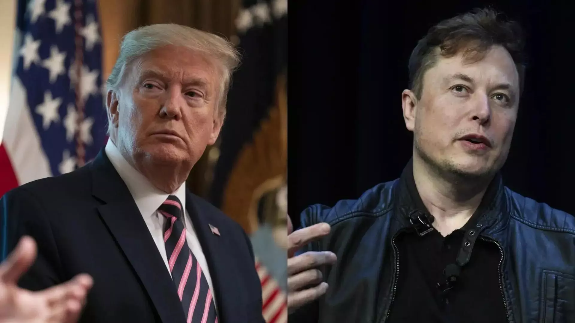 Elon Musk ने डोनाल्ड ट्रम्प को लेकर किया बड़ा खुलासा