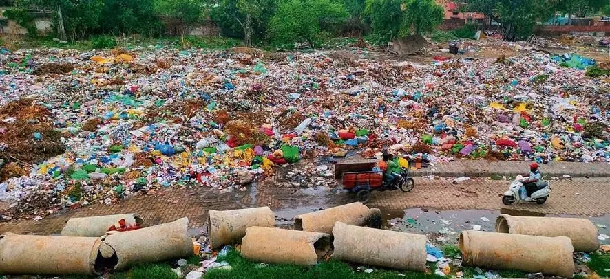 Ludhiana: ओल्ड कोर्ट्स रोड पर टनों कचरे के ढेर ने बना दिया, भयावह नजारा