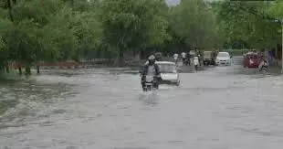 Rain updates: आईएमडी ने चार जिलों के लिए रेड अलर्ट जारी किया