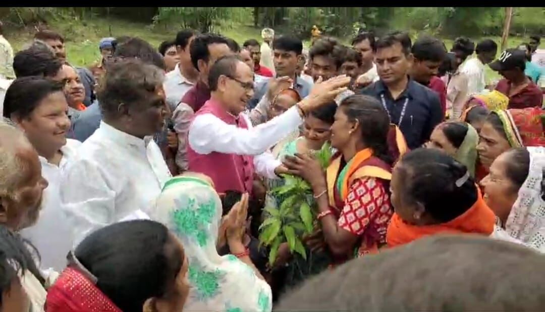 Union Minister Chauhan बोले- बिगड़ते पर्यावरण को सुधारने का पेड़ लगाना सबसे अच्छा तरीका