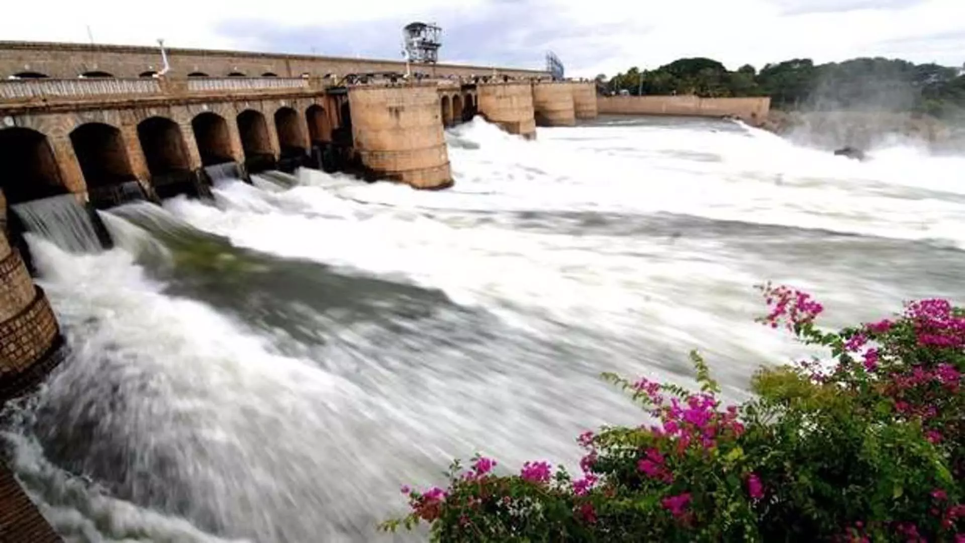 Tamil Nadu government:  कावेरी जल अधिकारों पर कानूनी लड़ाई फिर से शुरू करे