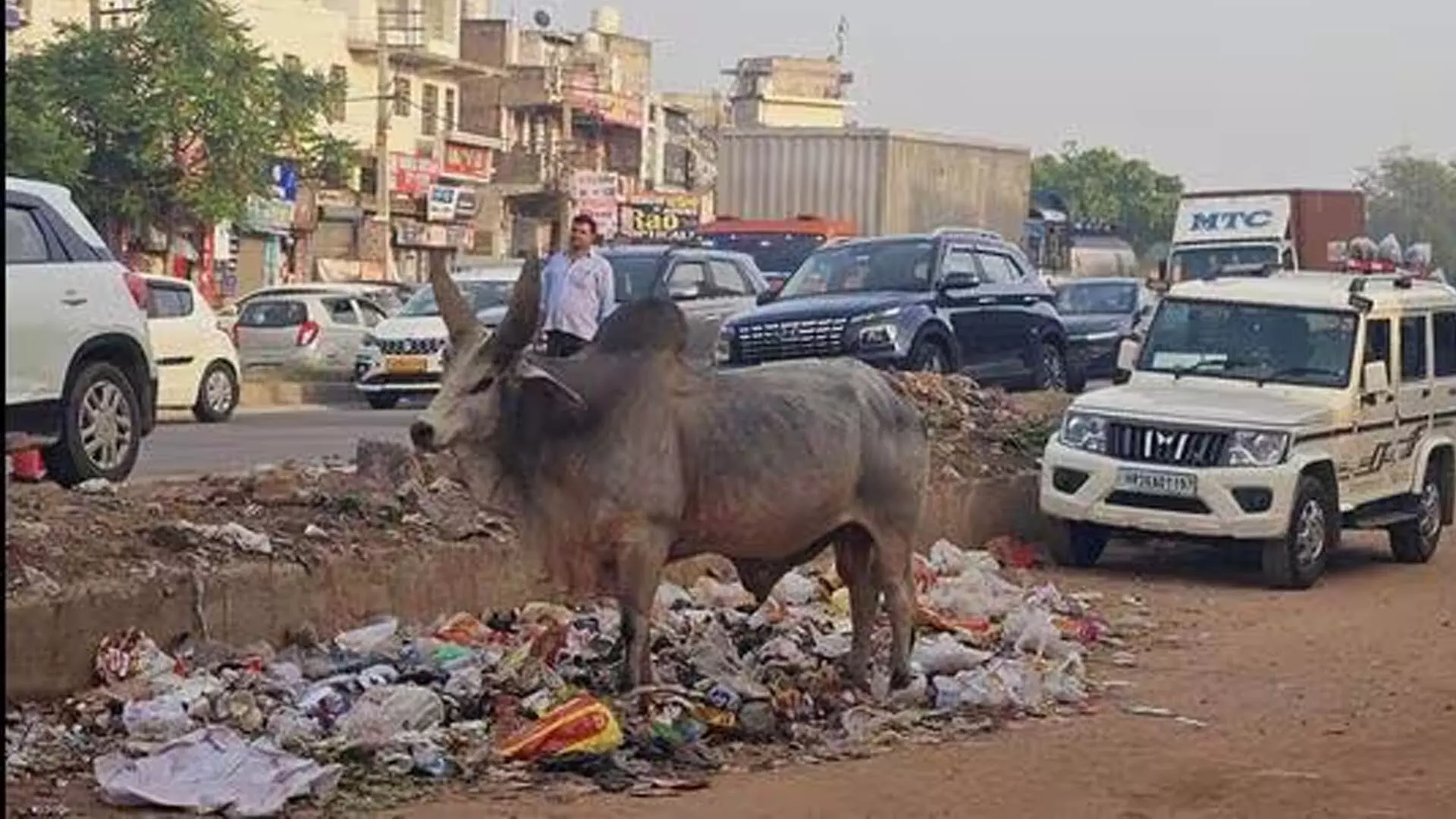 Gurgaon: मानेसर में कचरे की समस्या जारी एजेंसी ने टेंडर के लिए ‘जाली’ दस्तावेज बनाए
