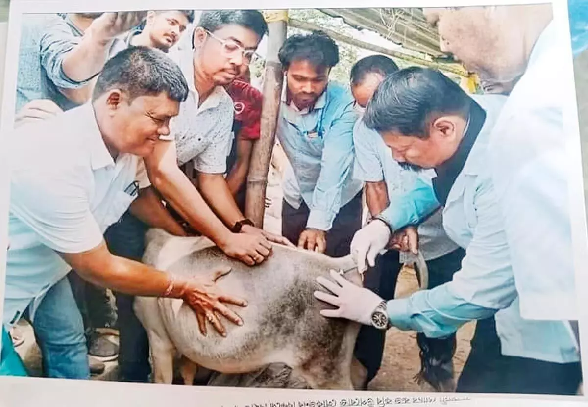 ASSAM : कथित पशु क्रूरता को लेकर मंत्री अतुल बोरा के खिलाफ एफआईआर दर्ज