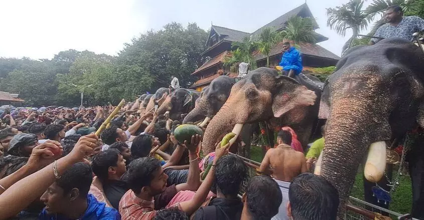 KERALA : आणयोट्टू के तहत हाथियों ने भव्य भोज का आनंद लिया