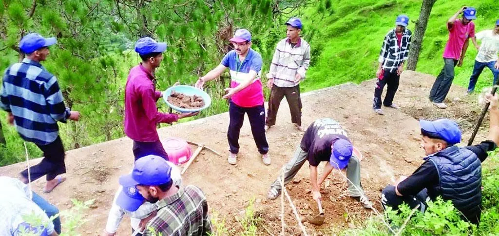 HP News: हलाहं में गोद लिए गांव को किया चकाचक