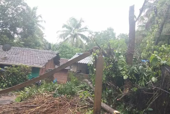 Goa News: पोंडा में पेड़ उखड़ गए, मकान क्षतिग्रस्त