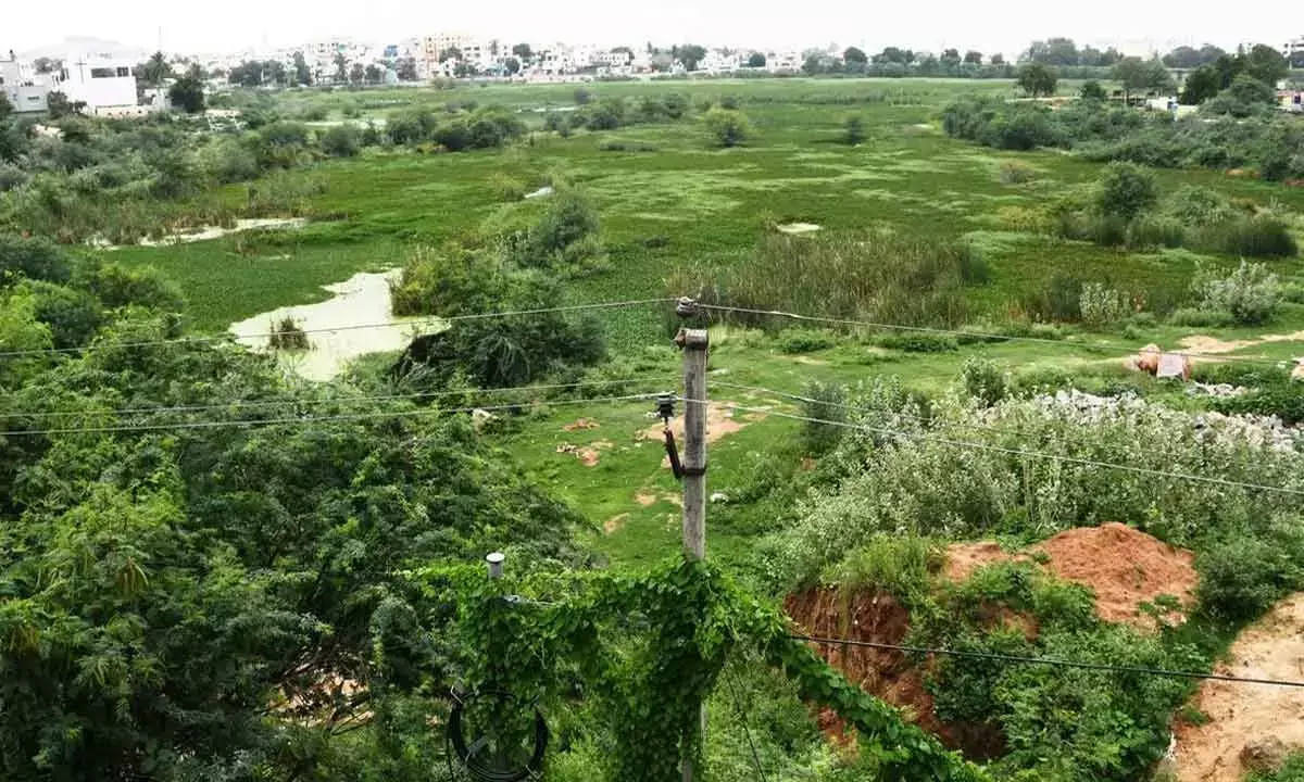Hyderabad में भारी बारिश के बावजूद आरके पुरम झील सूखी