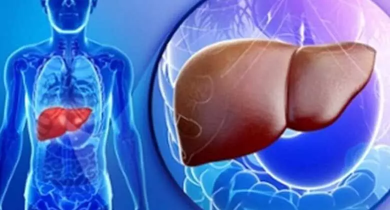 Fatty Liver के इलाज के लिए 15 घरेलू उपचार