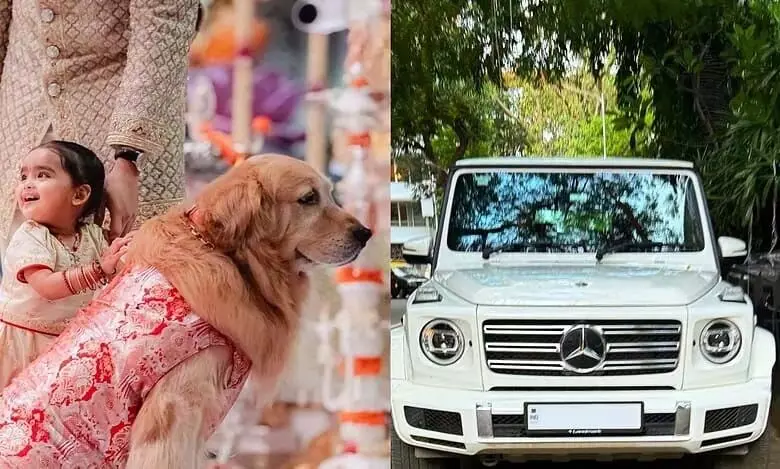 Entertainment: 3 करोड़ रुपए की कार है अनंत अंबानी के कुत्ते हैप्पी के पास
