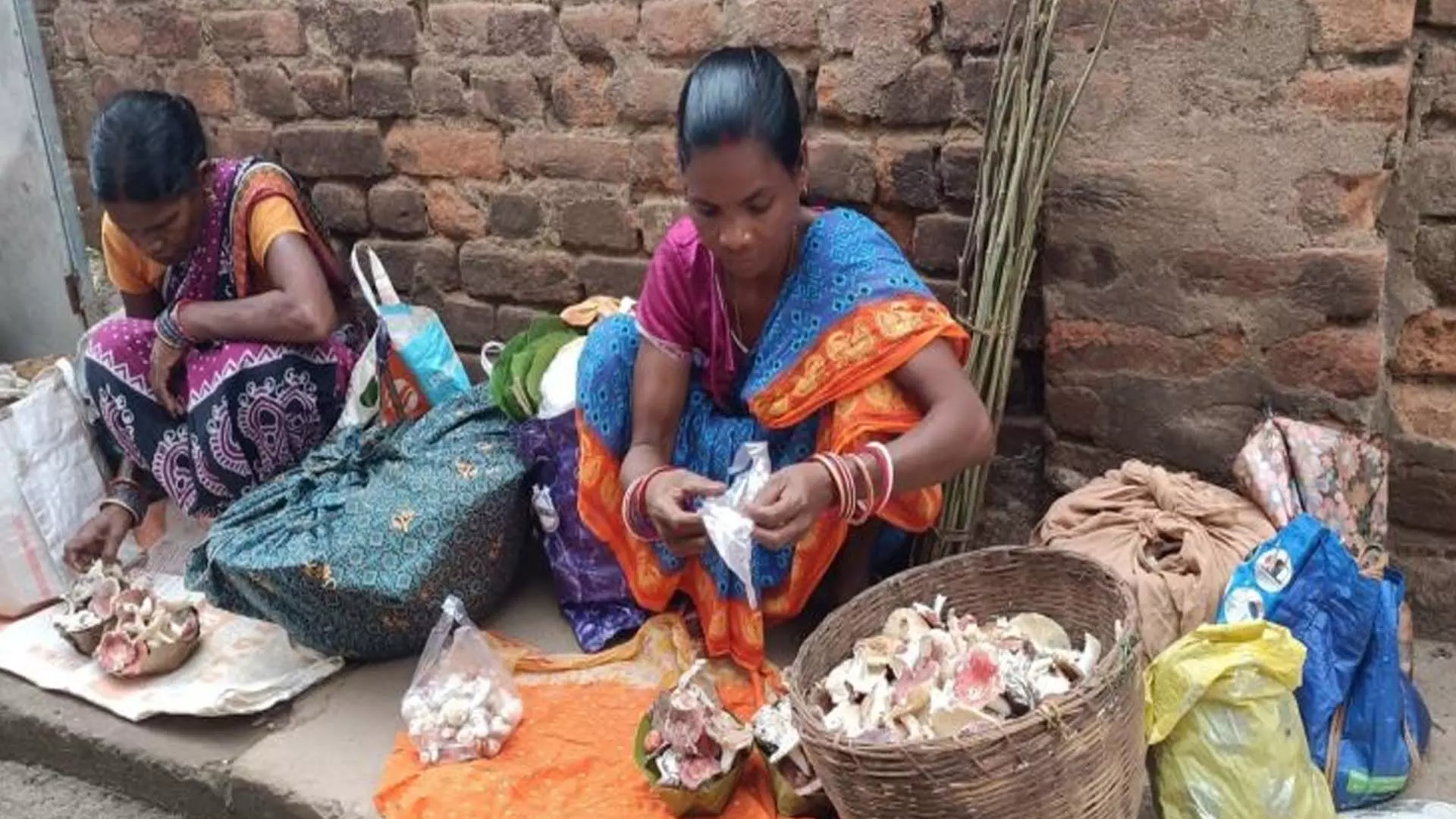 ‘Rutuka Chhatu’: व्यापारियों को फायदा, संग्राहकों को मामूली रकम