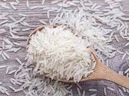 RECIPE :   चावल से बनाए कई प्रकार के स्वादिष्ट व्यंजन