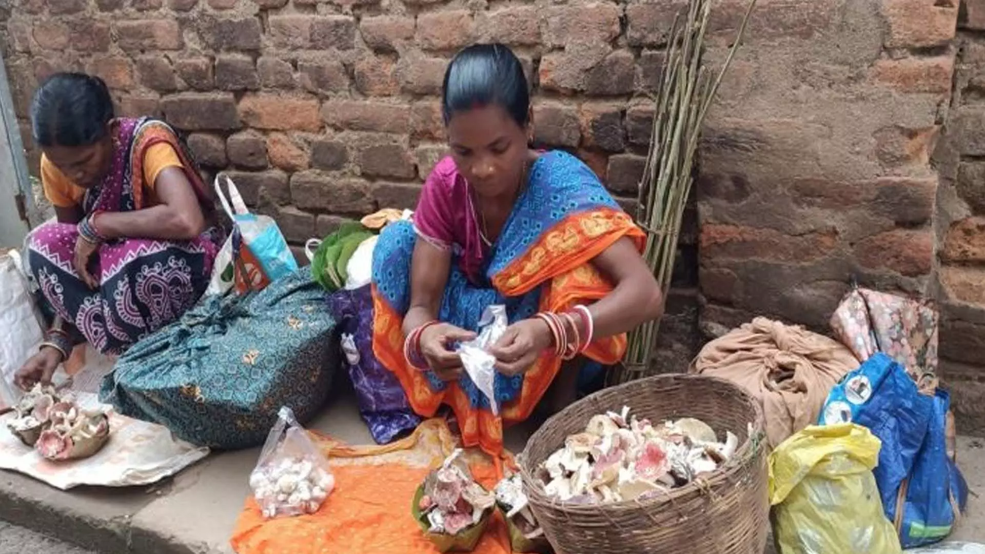 ‘Rutuka Chhatu’: व्यापारियों को फायदा, संग्राहकों को मामूली रकम