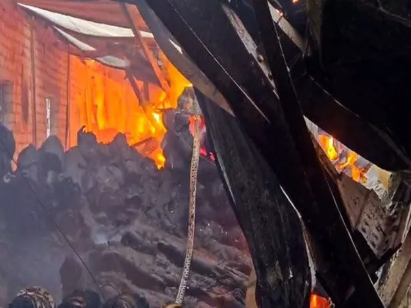 Andhra: अनकापल्ले जिले में फैक्ट्री में लगी आग, एक की मौत