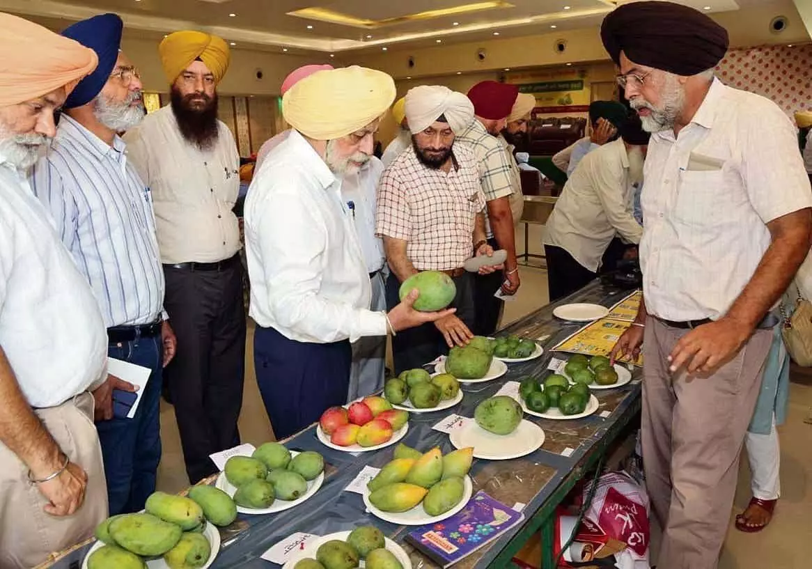 Ludhiana: कुलपति ने किसानों को पोषण सुरक्षा के लिए फल उगाने की सलाह दी