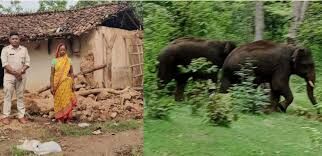 Anuppur: हाथियों से परेशान ग्रामीणों ने रेंजर के वाहन पर किया पथराव