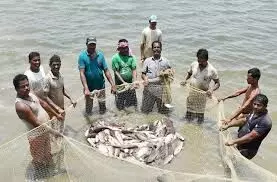 Munger: मछली उत्पादन में वृद्धि से मत्स्य पालकों की आमदनी में इजाफा हुआ