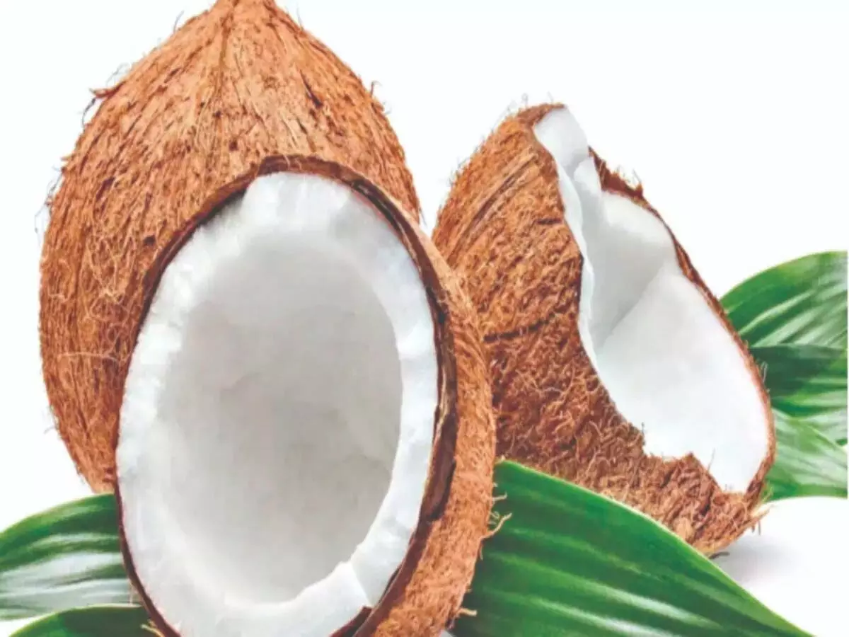 Coconut: जाने कौन-सा नारियल हेल्थ के लिए है सबसे बेस्ट