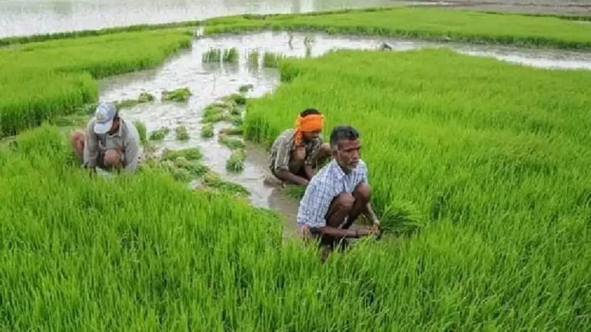 Lucknow : पीएम सम्मान निधि की अगली किस्त दिलाने के लिए कृषि विभाग के पसीने छूट रहे
