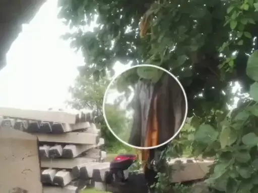 Chhattisgarh: ड्राइवर फंदे पर झूला, पेड़ में लटक रही थी लाश