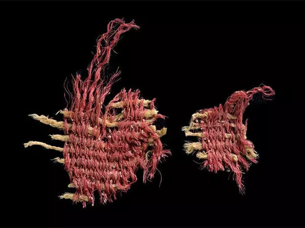 Israeli पुरातत्वविदों को बाइबिल के लाल रंग के सबसे पुराने साक्ष्य मिले