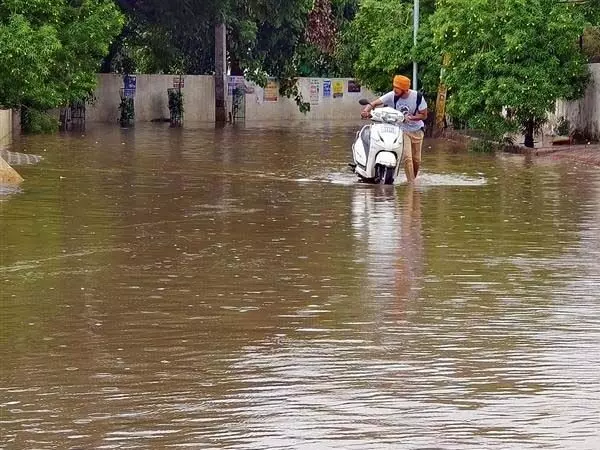 Patiala: बारिश ने एमसी के मानसून-तैयारी के दावे को झूठा साबित कर दिया