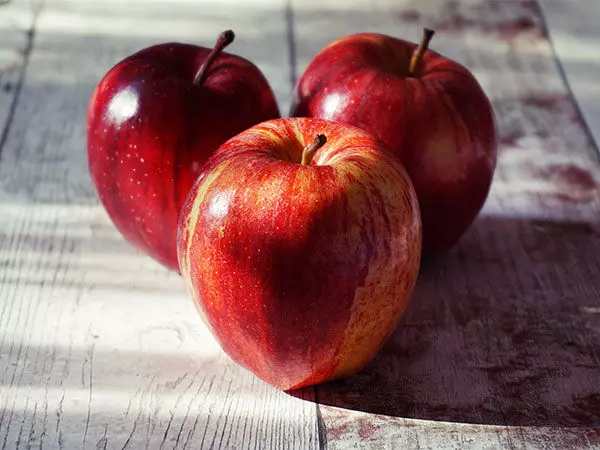 Kuldeep Rathore ने सेब की फसल में अल्टरनेरिया बीमारी को महामारी घोषित करने का किया आग्रह
