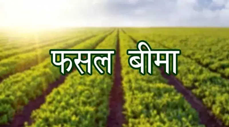 Sikar : कृषक, गैर ऋणी कृषक एवं बंटाईदार कृषकों द्वारा फसलों का बीमा 31 जुलाई तक