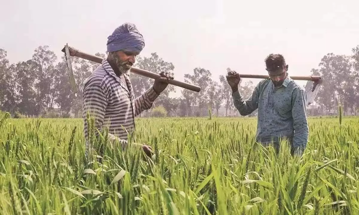 Andhra Pradesh: किसानों ने वादों को पूरा करने की मांग की