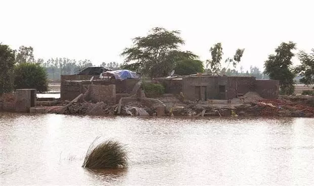 Punjab : लोहियां में स्थानीय लोग अभी भी बाढ़ के बाद के मलबे को समेट रहे