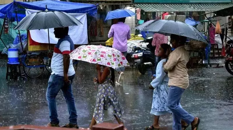 Telangana: जयशंकर जिले के पेद्दामपेट में सबसे ज्यादा बारिश हुई