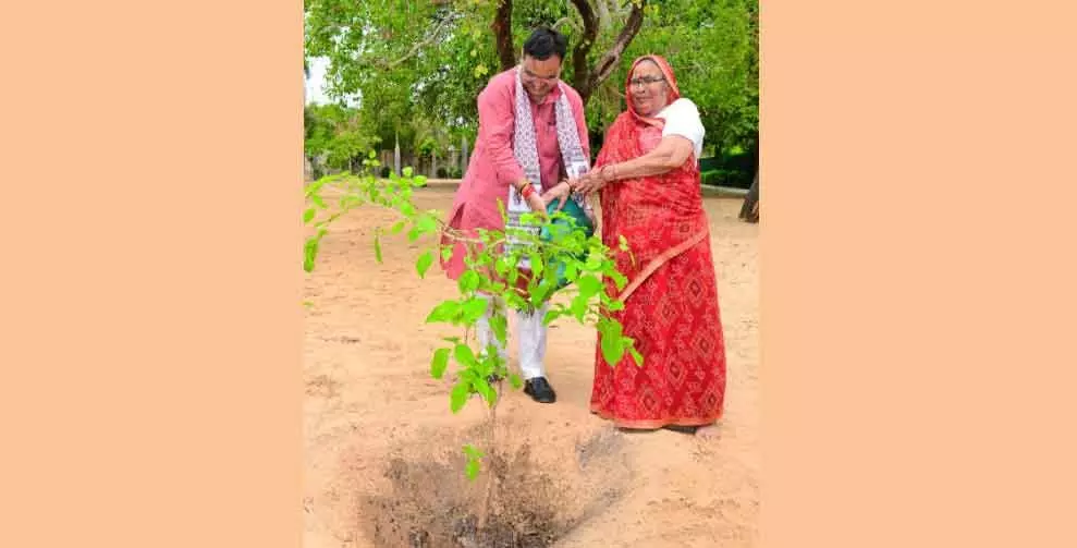 CM भजनलाल शर्मा शनिवार को करेंगे एक वृक्ष गौ मां के नाम सघन वृक्षारोपण