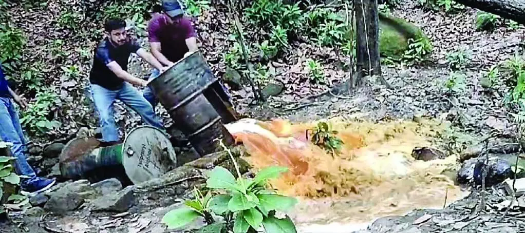 Khaara के जंगलों में वन विभाग ने नष्ट की 900 लीटर अवैध शराब