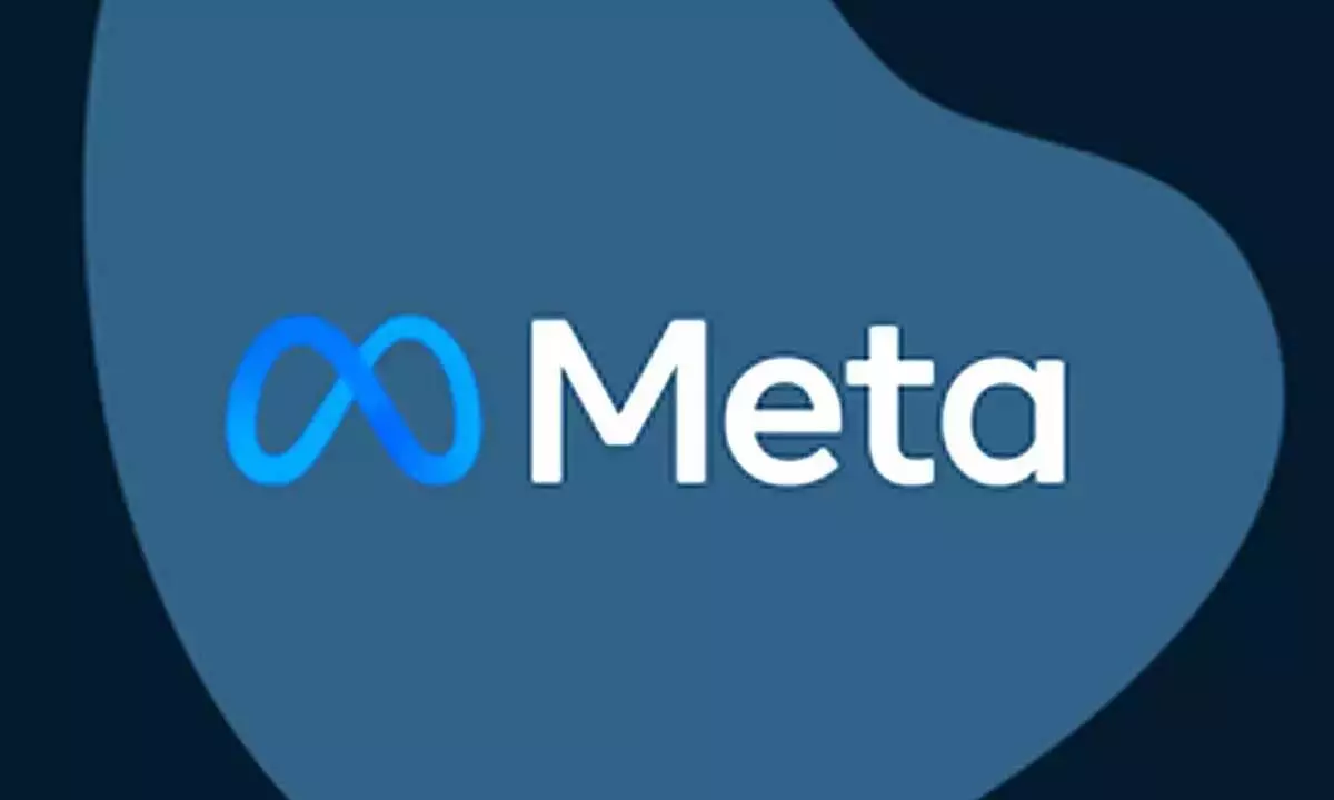 Meta ने, इंस्टाग्राम ,FB , भारतीय व्यवसायों,ए सशुल्क योजनाएँ ,पेश ,Meta introduces paid ,plans for Instagram, Facebook, Indian businesses