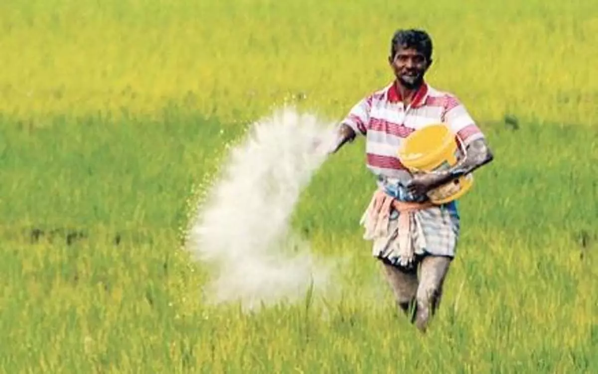 Kerala : केरल सरकार की NAWO-DHAN परियोजना खाद्य उत्पादन और राजस्व को बढ़ावा देगी