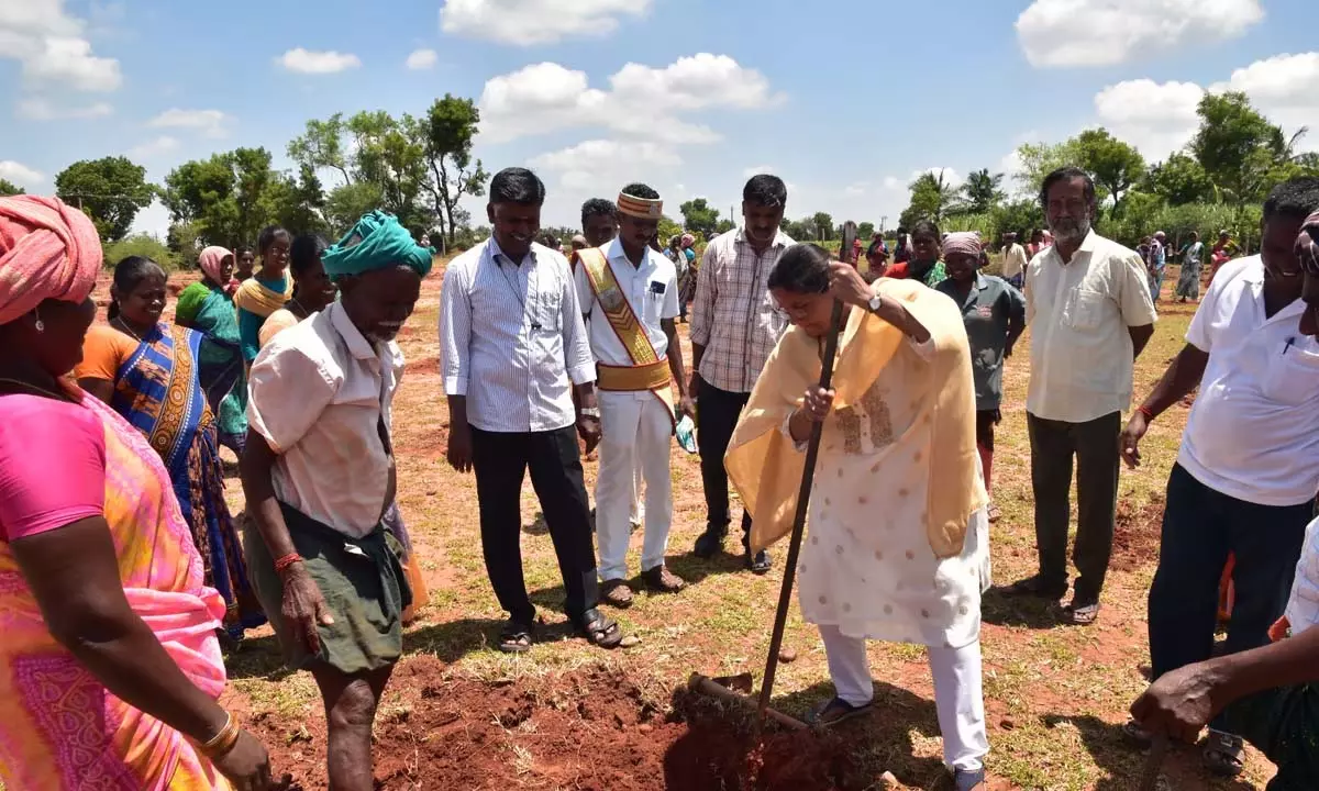 Tamil Nadu: पेरम्बलुर की निवर्तमान कलेक्टर की पहल ने लोगों के दिलों में जगह बनाई