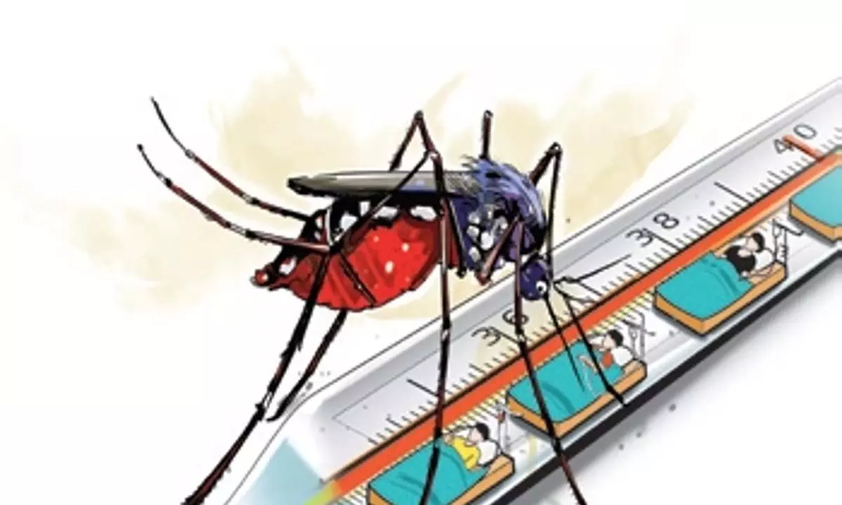 Odisha: रायगढ़ में मलेरिया से मरने वालों की संख्या दो हुई