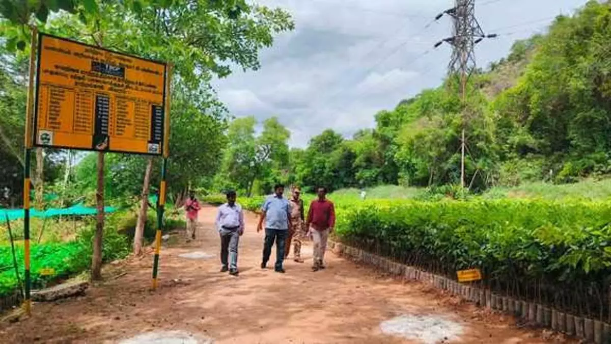 Karnataka : सर्वेक्षणों से पता चला कि कर्नाटक के डोरेकेरे टैंक में पक्षियों और तितलियों की भरमार