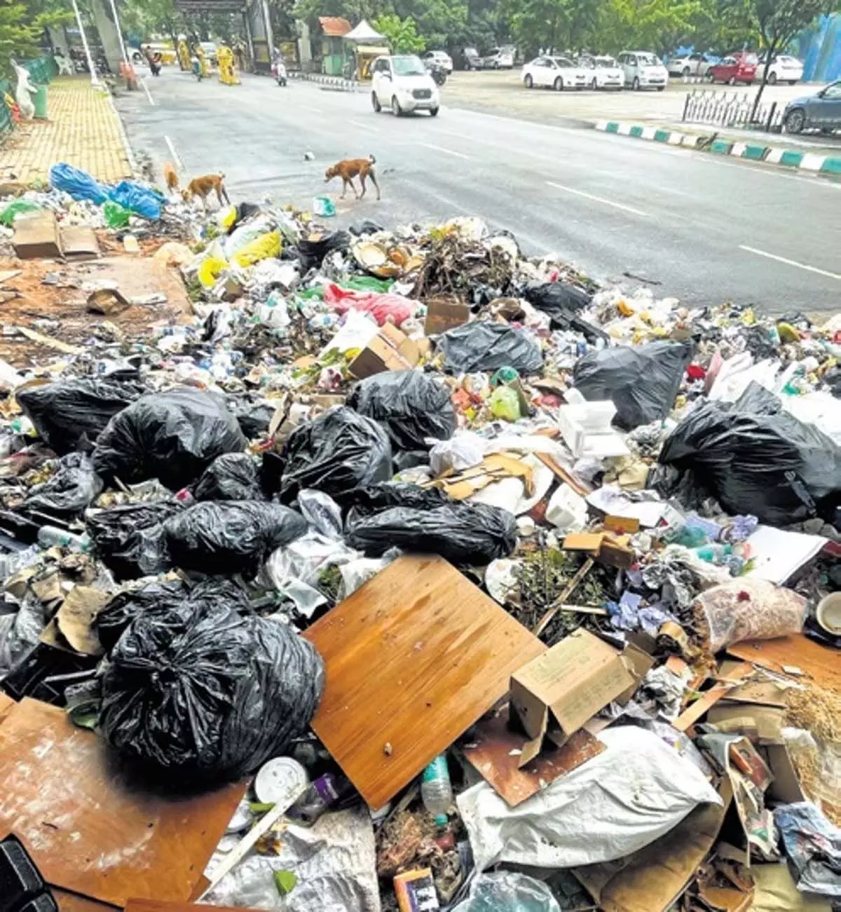 Karnataka : विधान सौध परिसर में पड़ा ‘ब्रांड बेंगलुरु’ कचरा