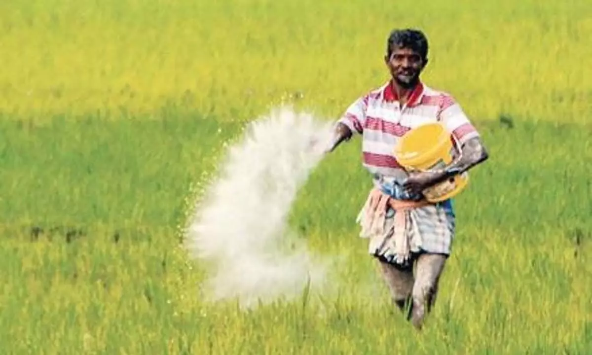 Kerala: केरल सरकार की NAWO-DHAN परियोजना से खाद्य उत्पादन और राजस्व को बढ़ावा मिलेगा