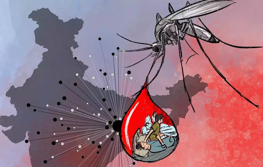 India में डेंगू मामलों में वृद्धि हर दिन 10 मरीजों दर शहर अलग-अलग