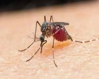 Odisha: रायगढ़ मलेरिया से मरने वालों की संख्या दो हुई