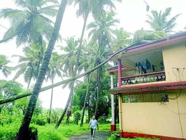 Goa: लगातार बारिश से मकान और पेड़ गिरे, किसी के हताहत होने की खबर नहीं