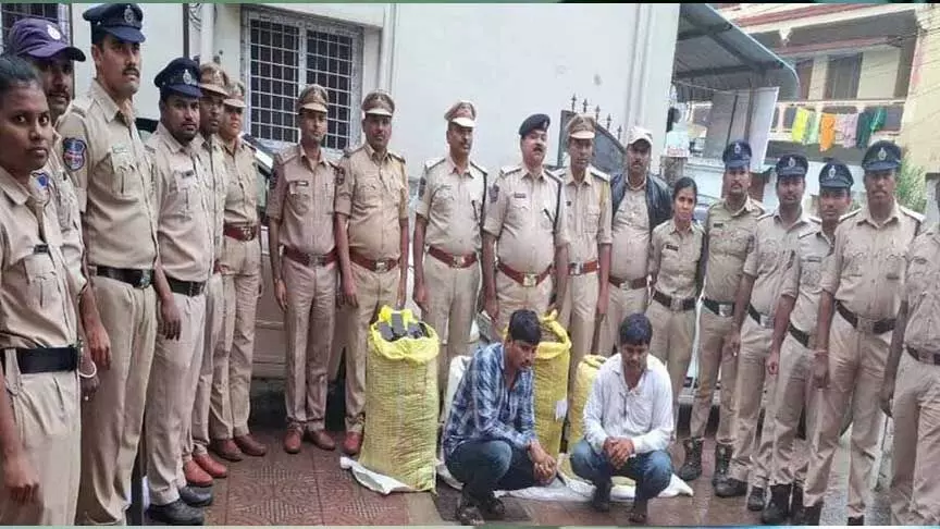 Excise अधिकारियों ने संगारेड्डी में 115 किलोग्राम गांजा जब्त किया