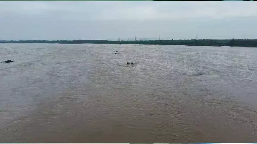 Telangana में भारी बारिश, गोदावरी नदी का जलस्तर बढ़ा, अधिकारी अलर्ट पर