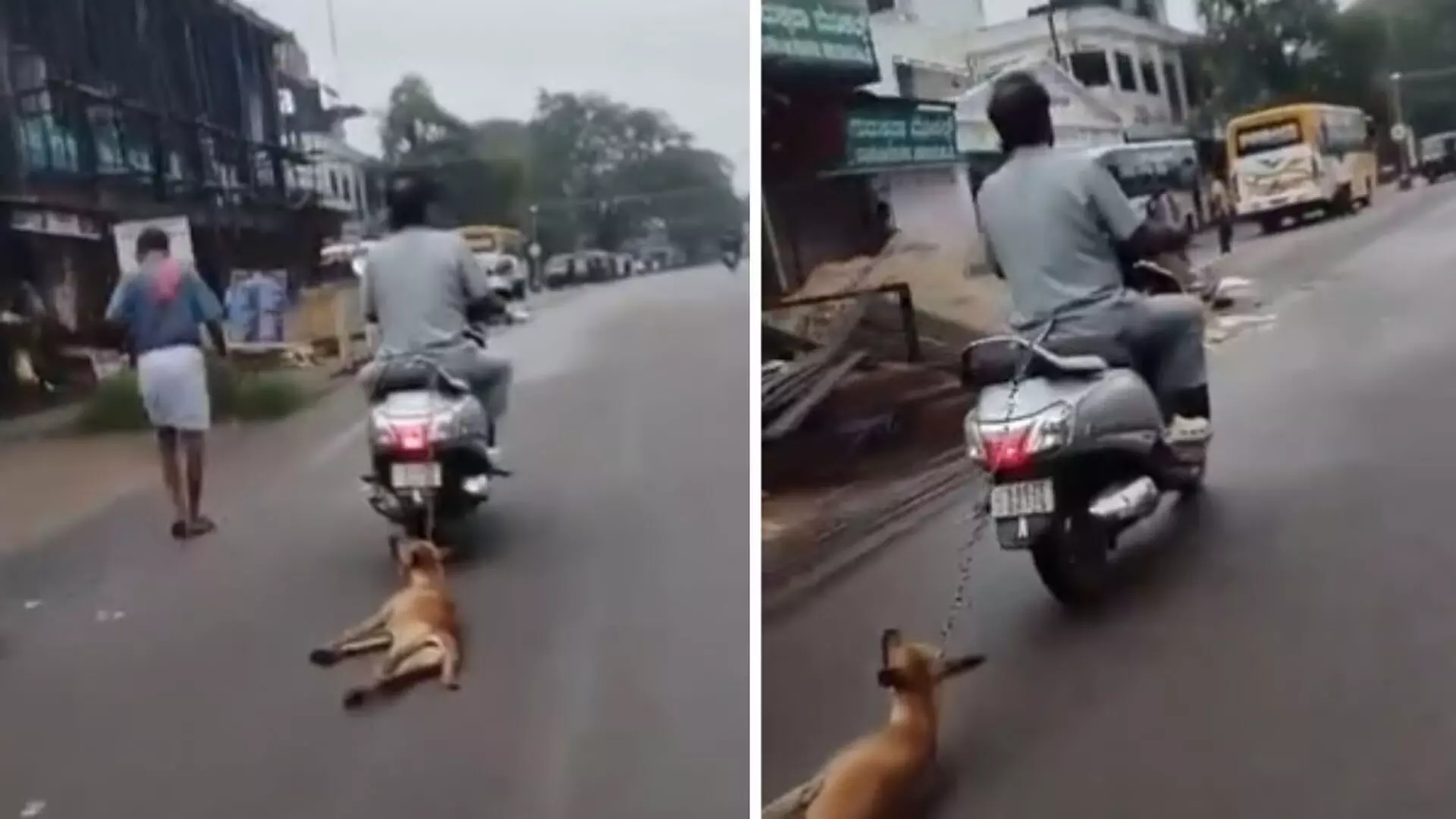 VIDEO: मरे हुए कुत्ते को स्कूटर से बांधकर 1 किलोमीटर तक घसीटा, केस दर्ज