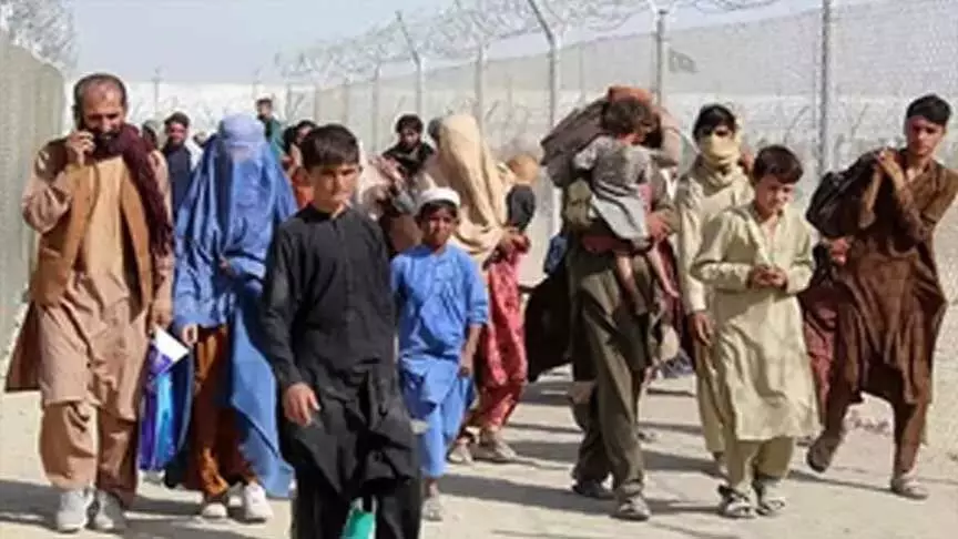 Pakistan और ईरान से 8,58,000 से अधिक अफगान शरणार्थी स्वदेश लौटे
