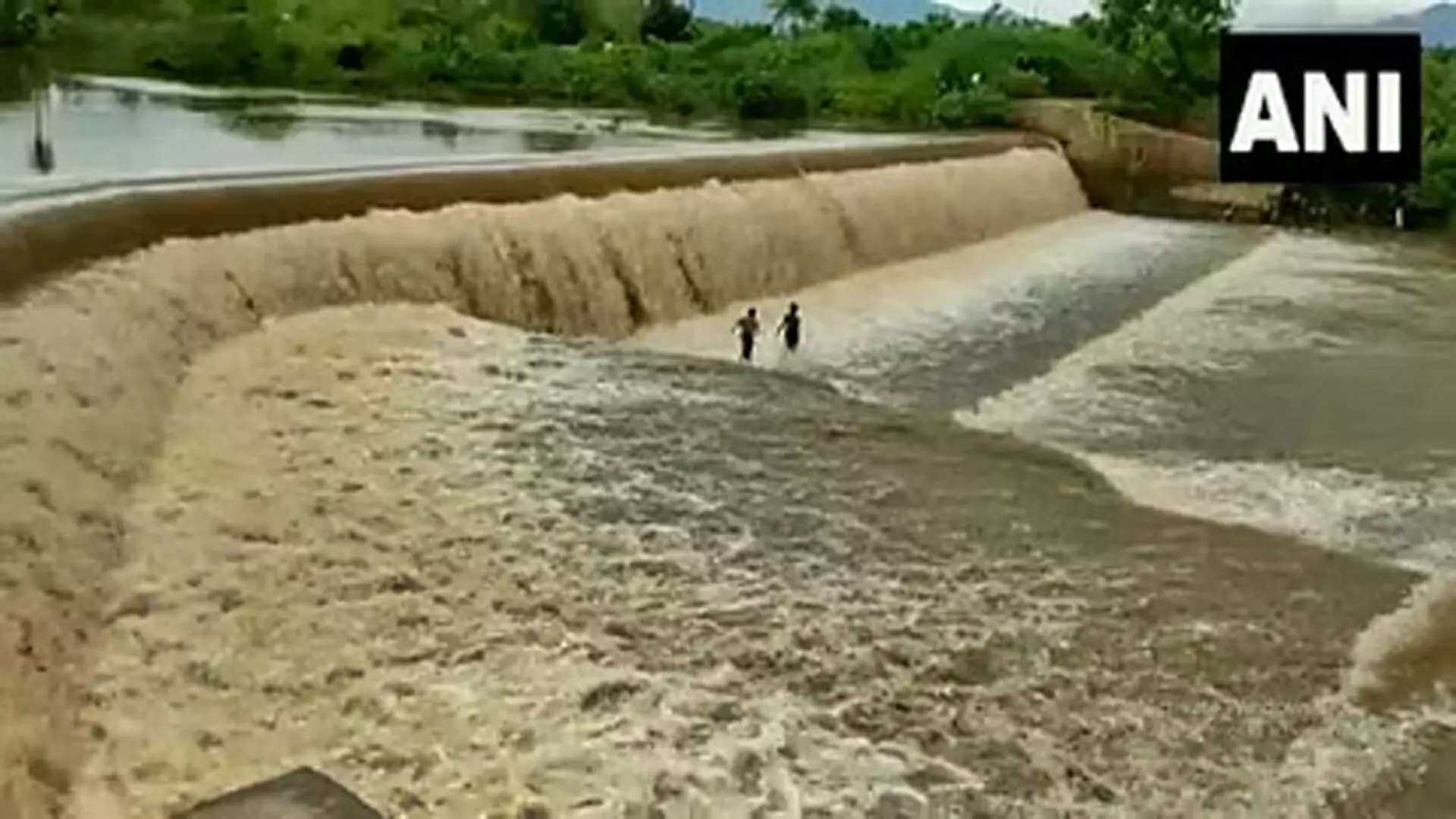 Andhra Pradesh: नदी में उफान, गोदावरी जिले के बोब्बरलंका गांव से टूटा संपर्क