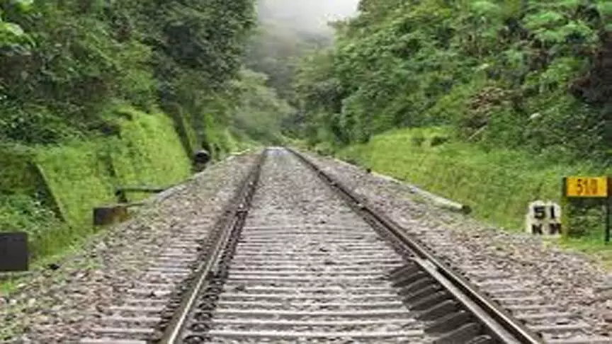 UP के अमरोहा में मालगाड़ी पटरी से उतरी, 15 ट्रेनें रद्द या डायवर्ट की गईं